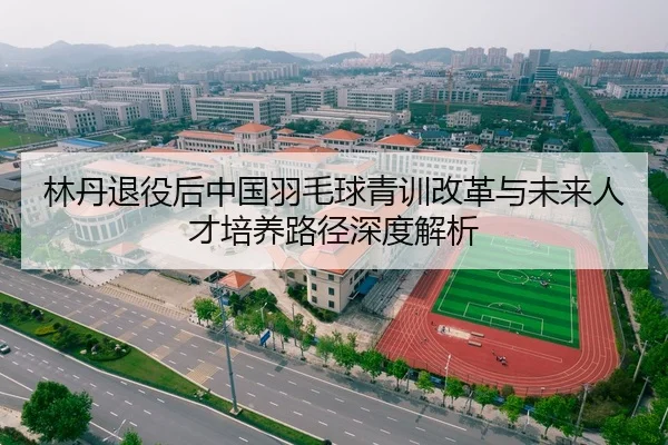 林丹退役后中国羽毛球青训改革与未来人才培养路径深度解析